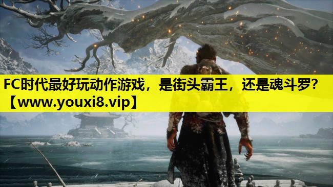FC时代最好玩动作游戏，是街头霸王，还是魂斗罗？