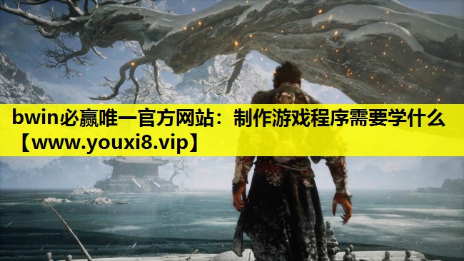 bwin必赢唯一官方网站：制作游戏程序需要学什么