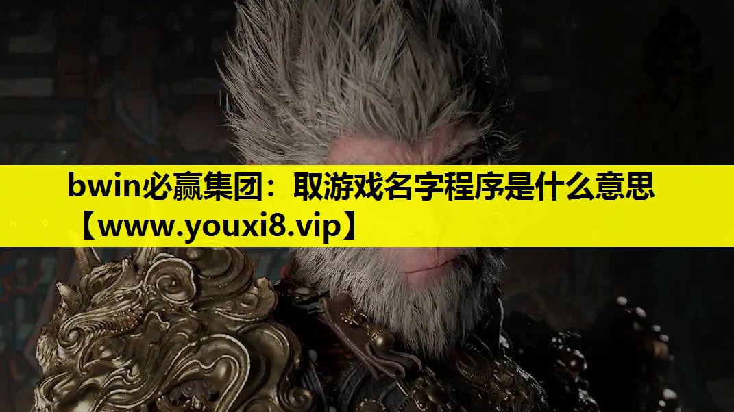 取游戏名字程序是什么意思